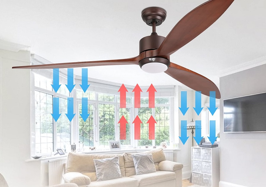 Reiga Smart Ceiling Fan With Light