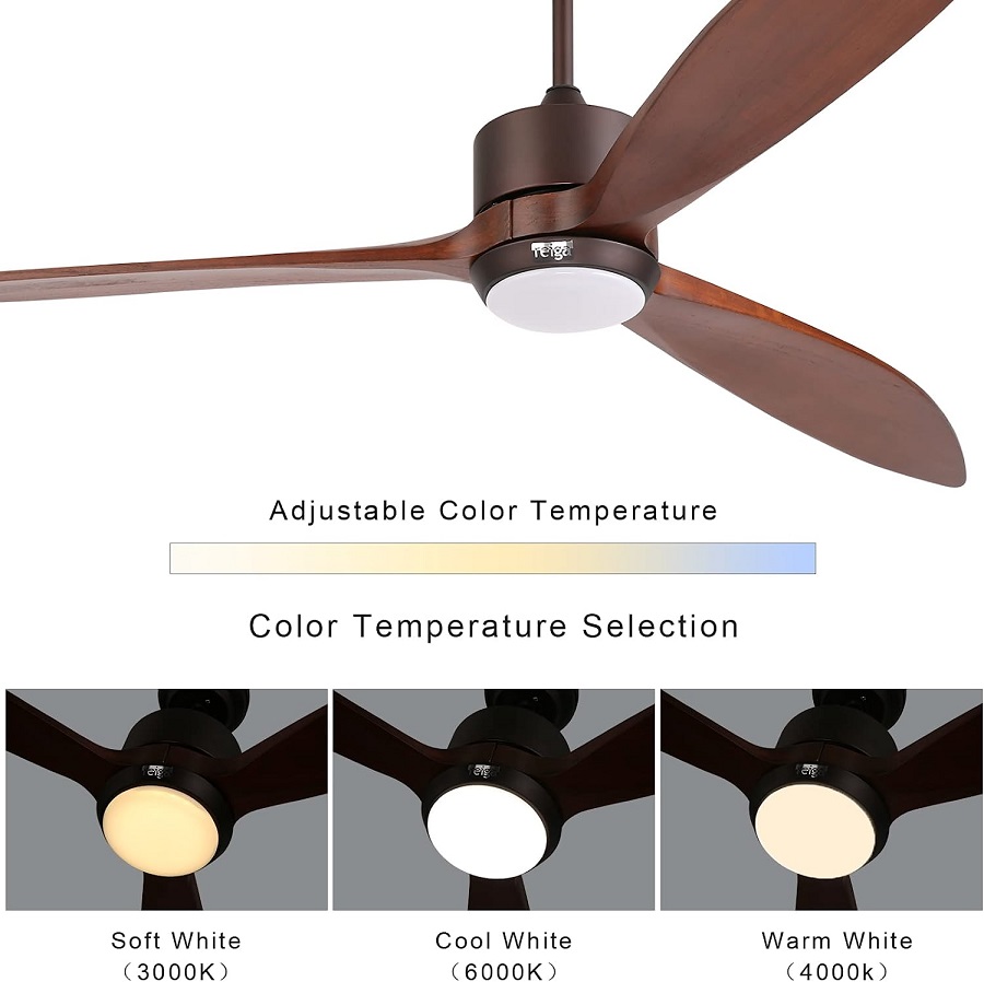 Reiga Smart Ceiling Fan With Light