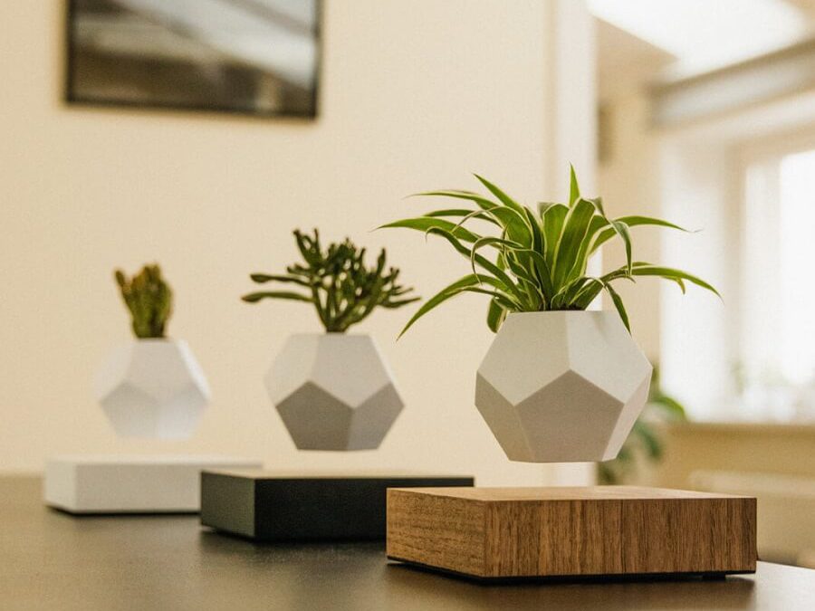7 Best Levitating Plant Pots You Can Buy (in 2022)