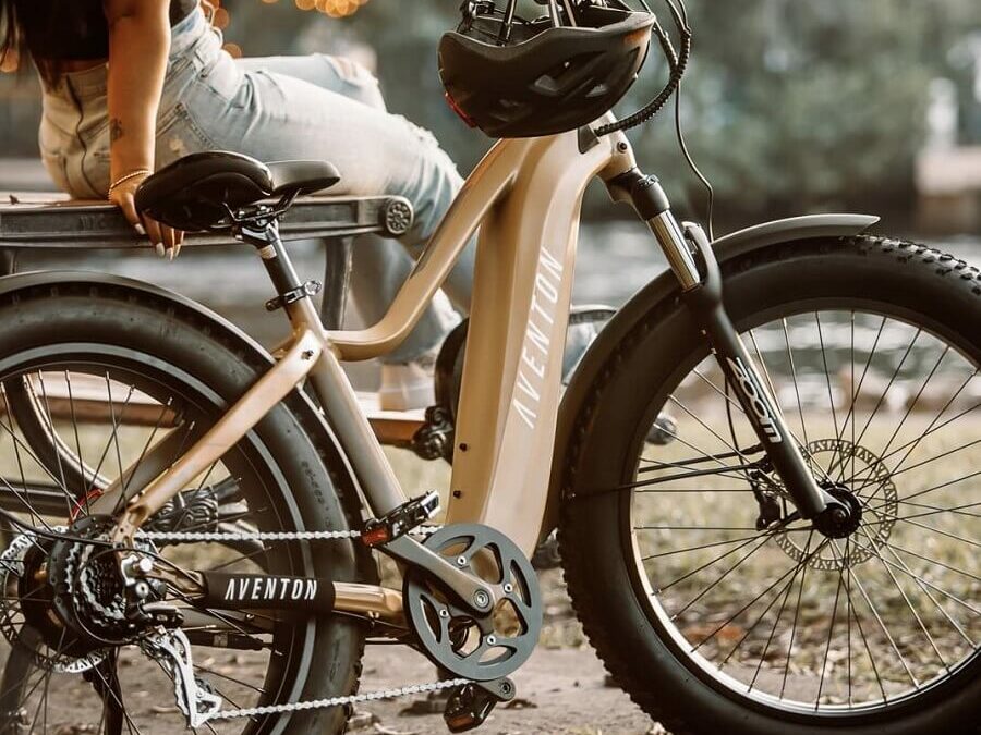 7 Best Electric Bikes for Heavy Riders