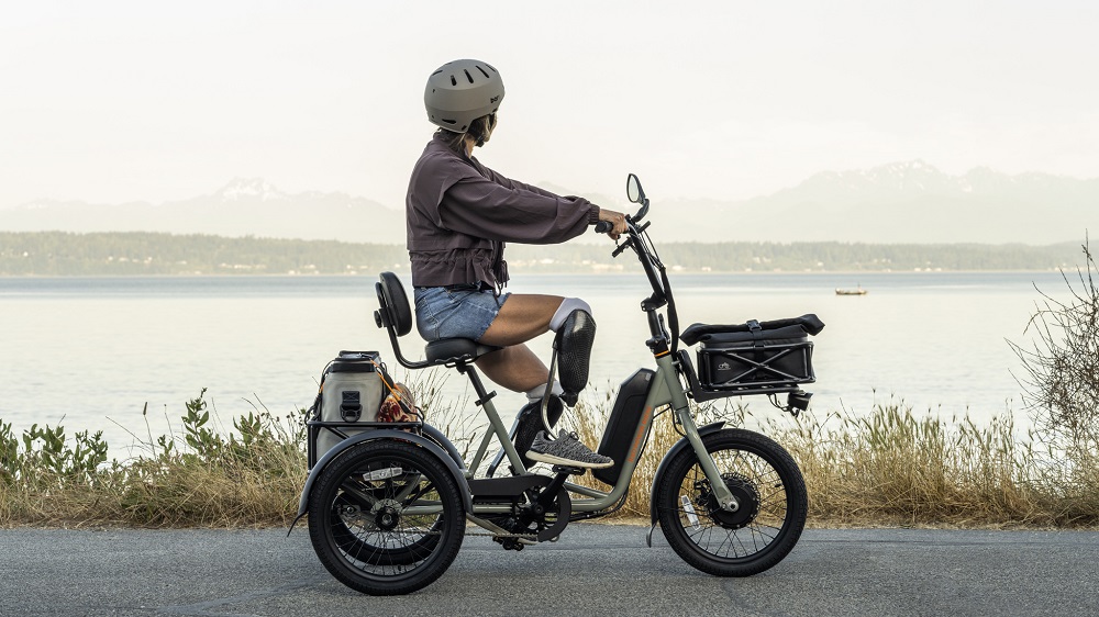7 Best Electric Tricycles for Adults (3 Wheel eBikes)
